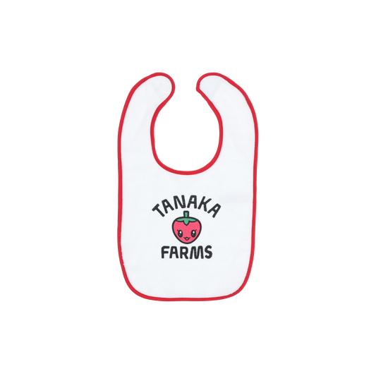 Baby Bib - Spring Strawberry