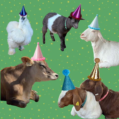 BARNYARD BIRTHDAY BASH