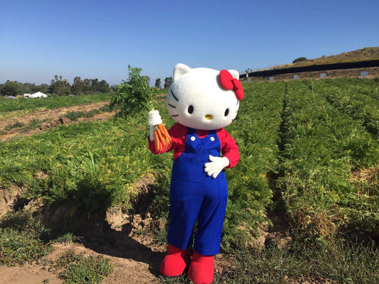 Sanrio Announces Year-Long Partnership with Tanaka Farms
