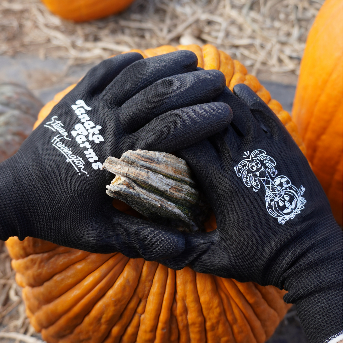 Steven Harrington X Tanaka Farms Gardening Gloves