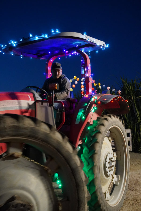 Pollinator Craft Pages Hikari: Festival of Lights – Tanaka Farms