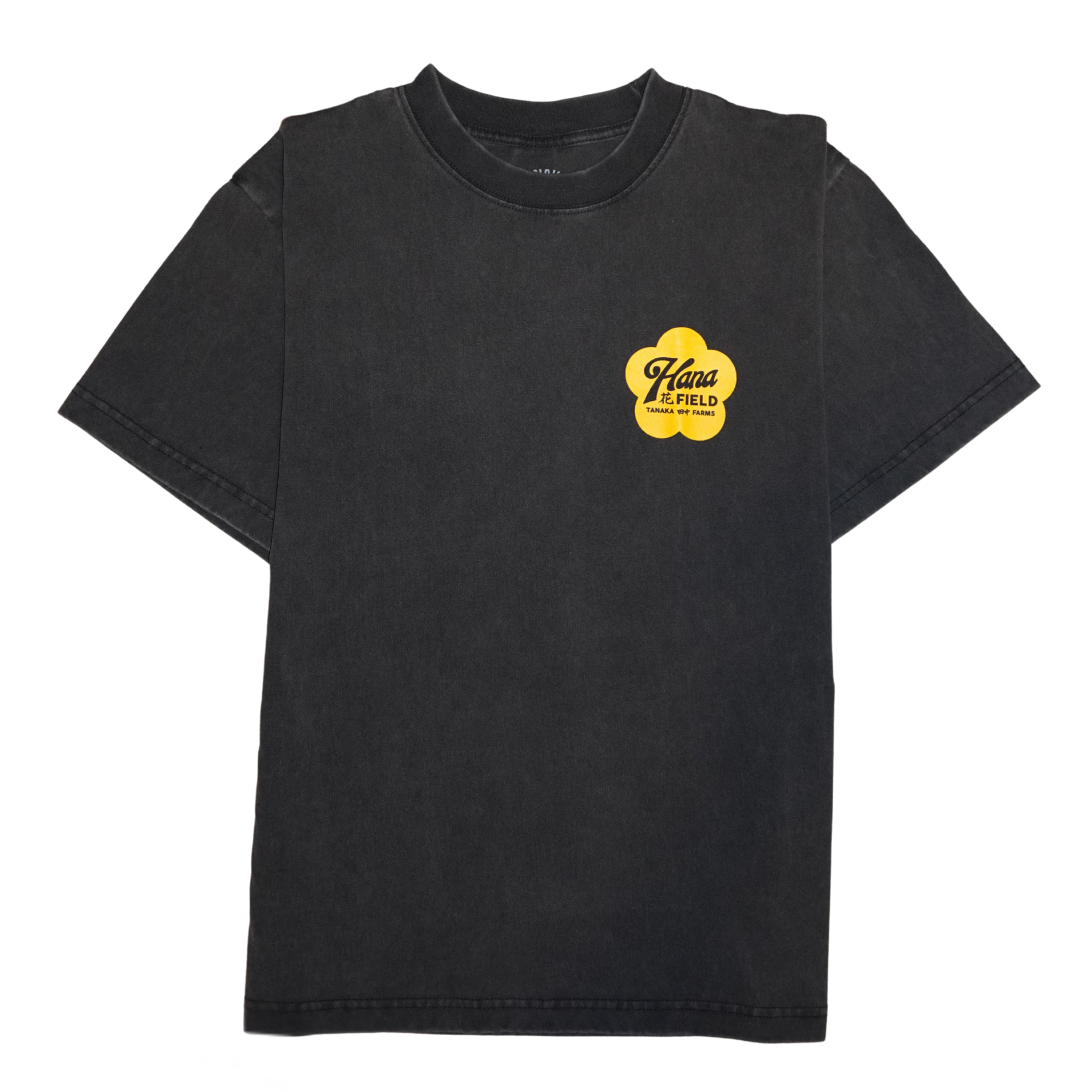 Hana Field Pumpkin Patch Tee – Tanaka Farms