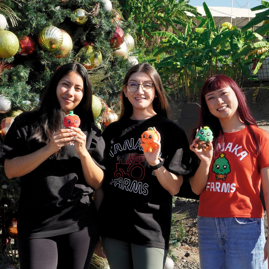 Mascot Plush Keychain - Aki