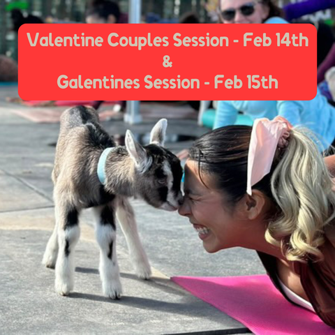 Baby Goat Yoga