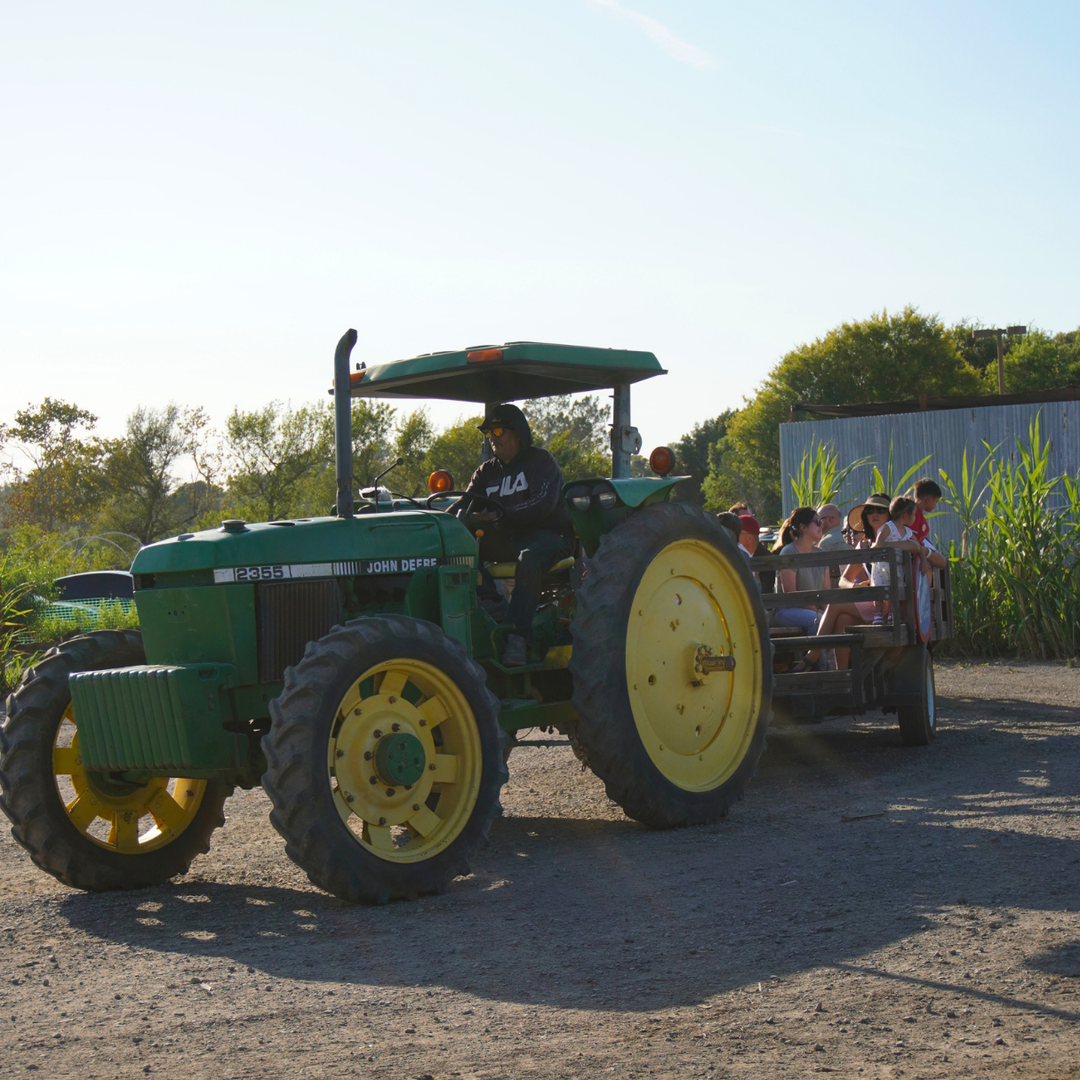 Tanaka Farms